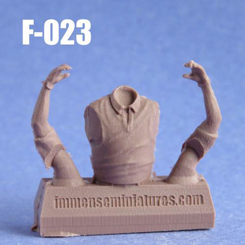 Short Sleeve Torso 1/24 (F-023-024)
